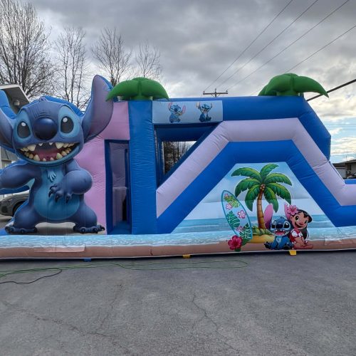 Stitch
