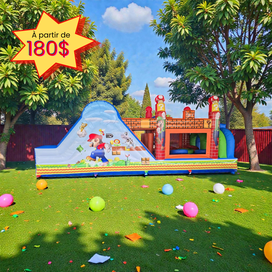 Aventure de Mario