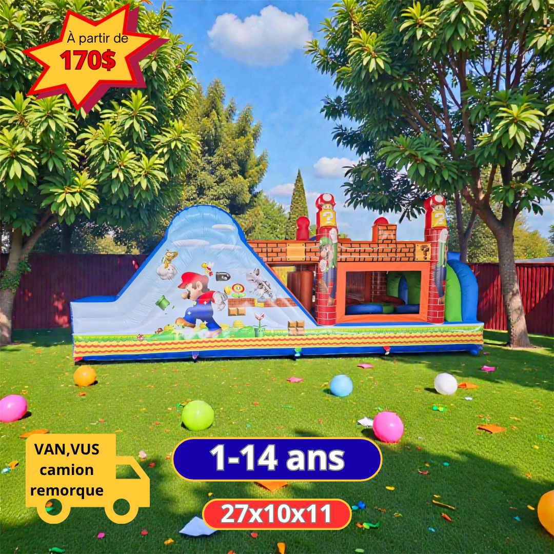 Aventure de Mario
